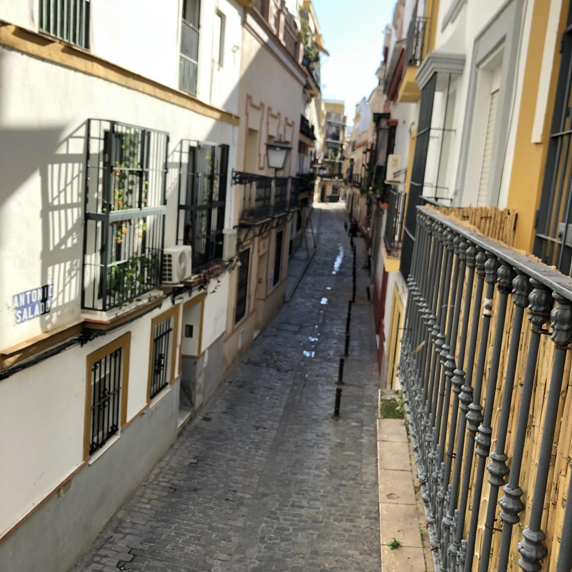 Apartamentos Alfaqueque B Sevilla Eksteriør billede